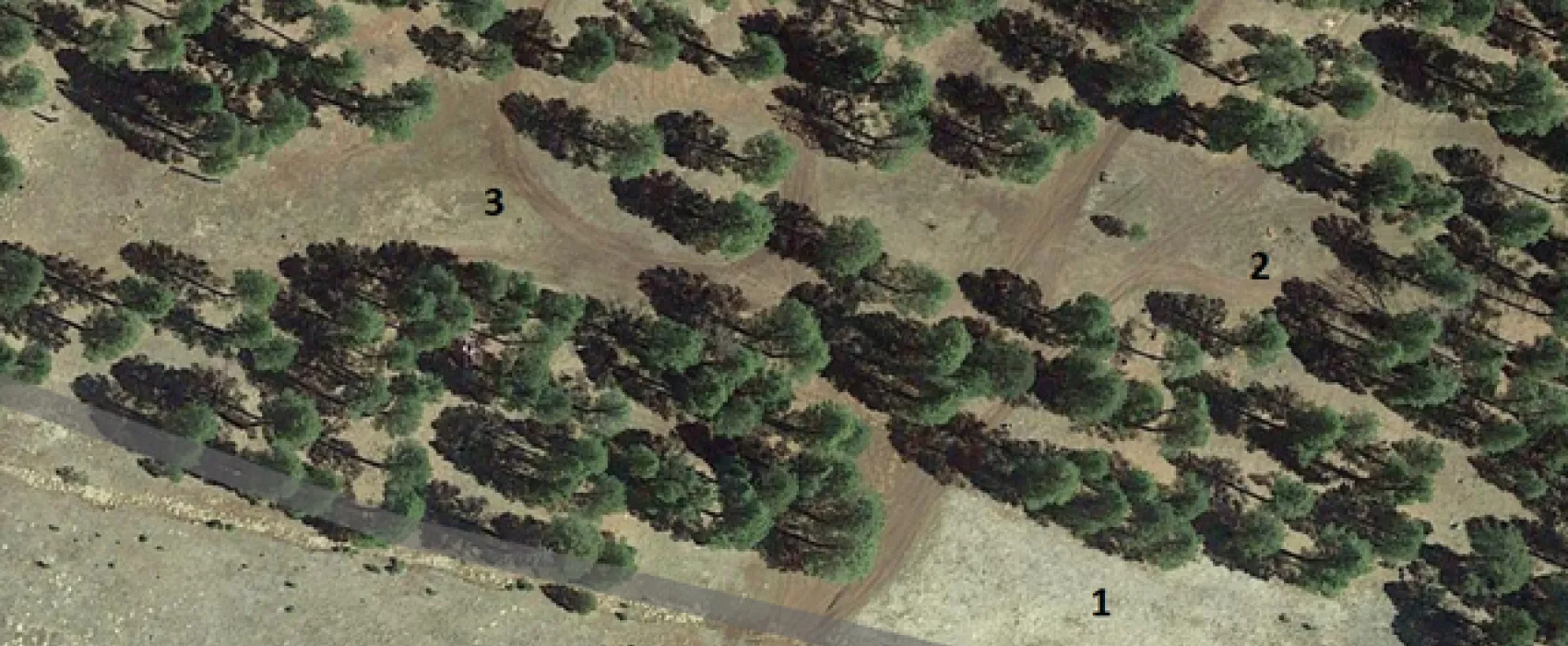 Gooseberry Springs Dispersed Camping