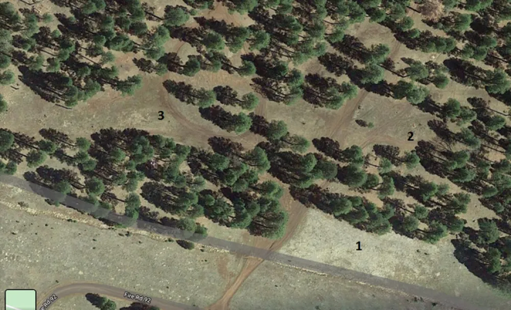 Gooseberry Springs Dispersed Camping