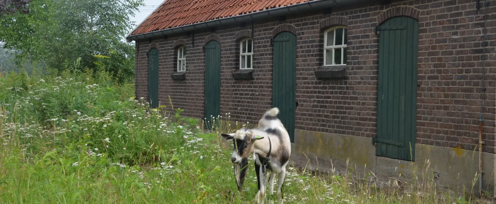 Kampeerboerderij De Baankreis