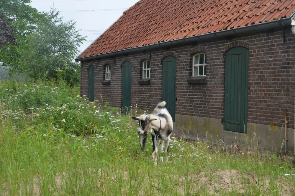Kampeerboerderij De Baankreis
