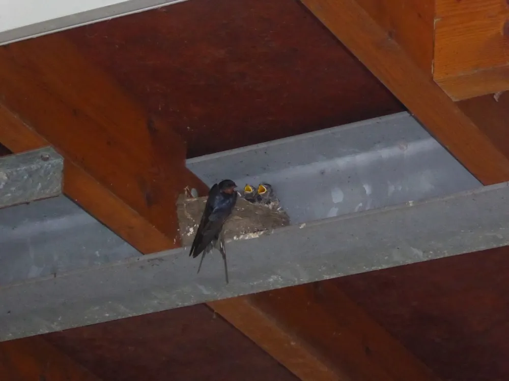 Kampeerboerderij De Baankreis