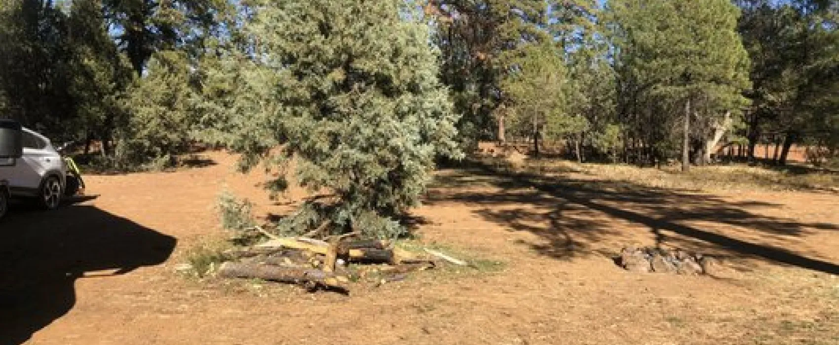 Forest Road 226 Dispersed Camping