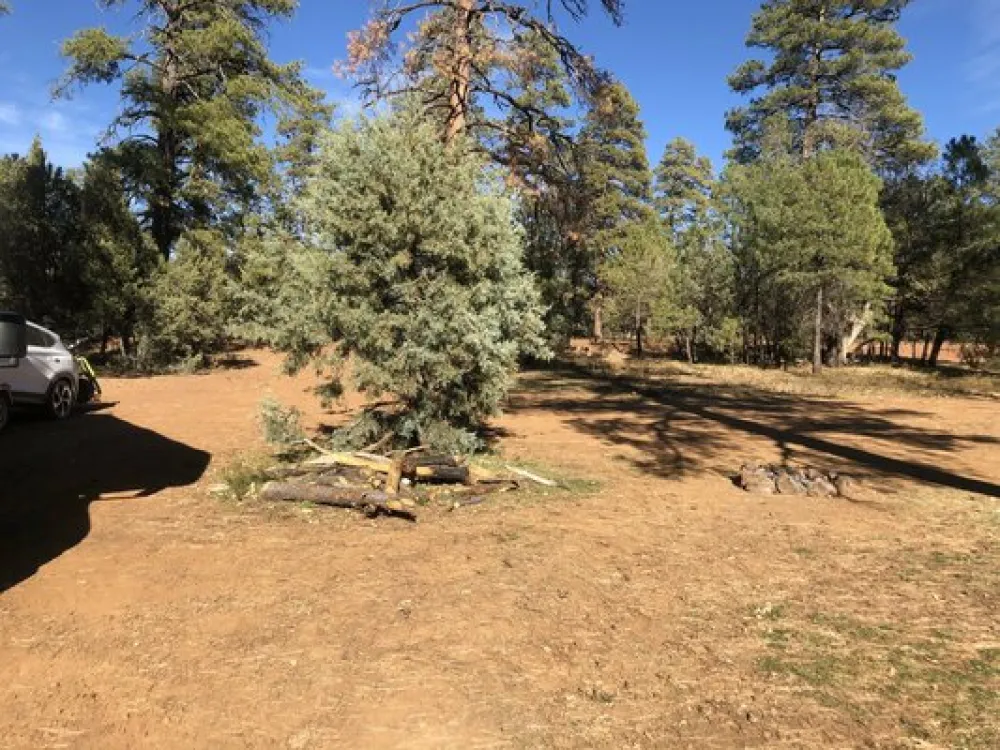 Forest Road 226 Dispersed Camping