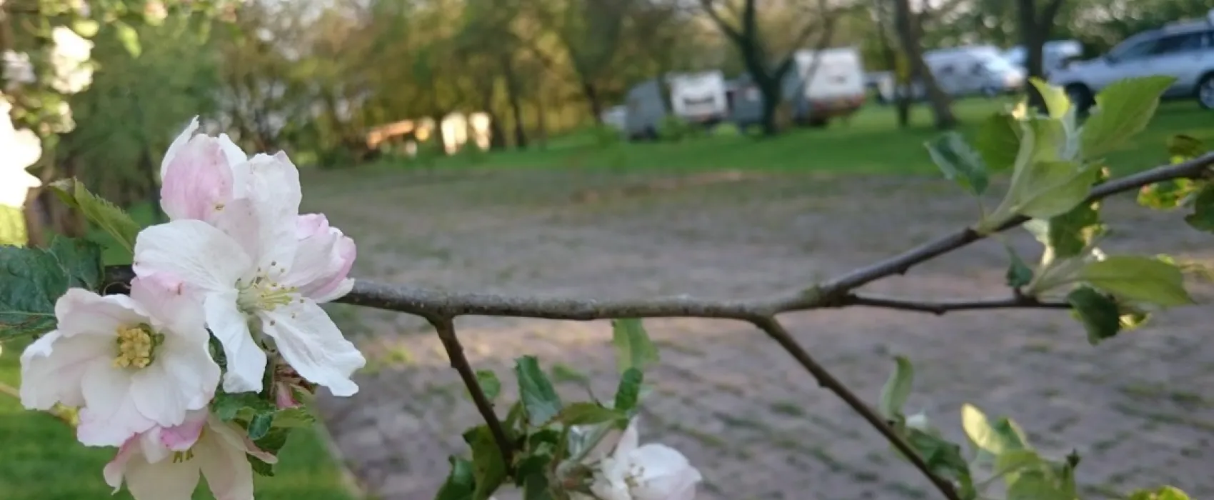 Minicamping Brinkman