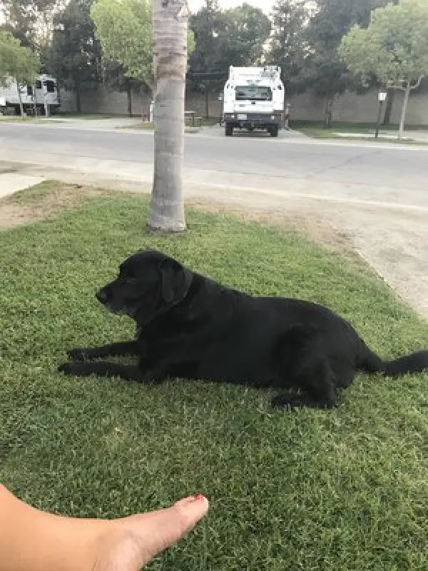 Bakersfield RV Resort