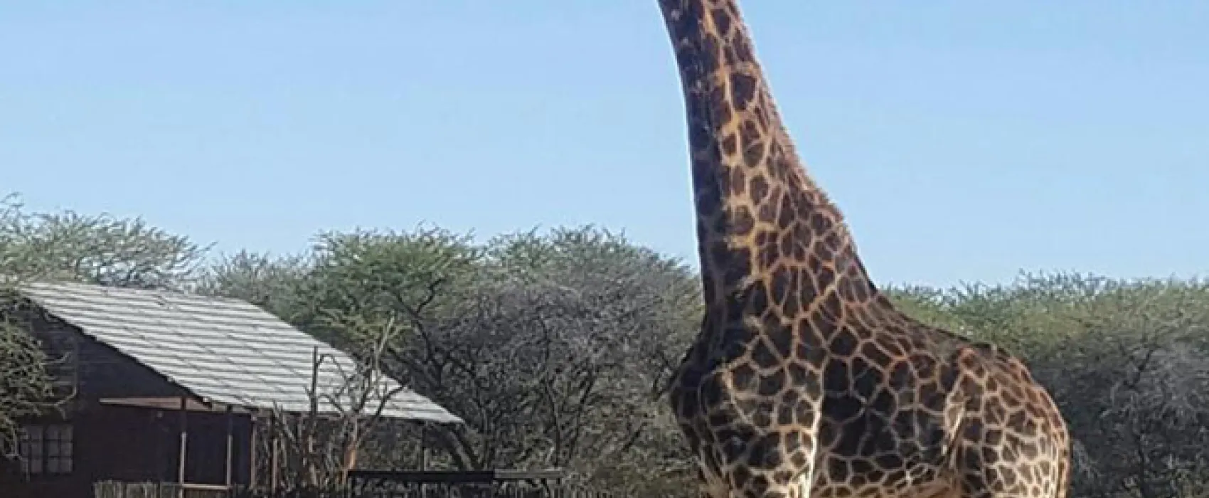 Grootgeluk Bush Camp