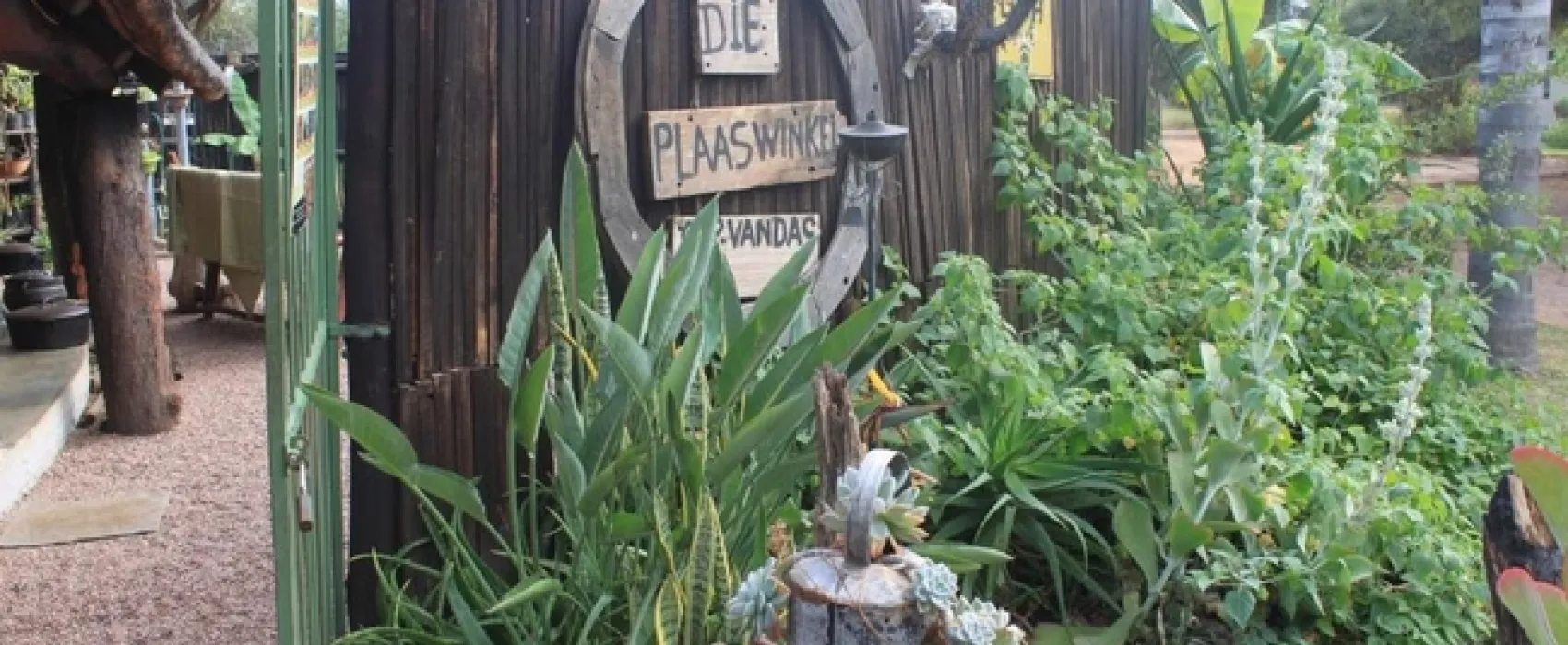 Grootgeluk Bush Camp