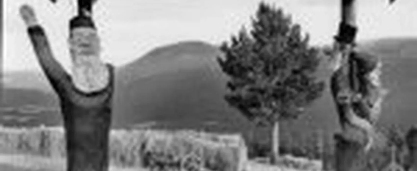 Breesgård Turistsenter AS