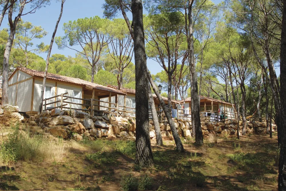 Internacional de Calonge