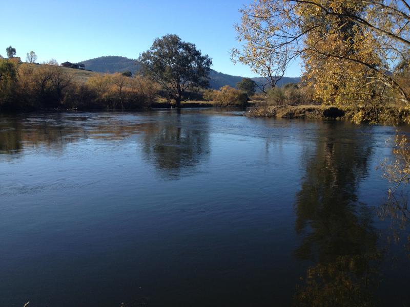 Clarkes Reserve Campground photo 2
