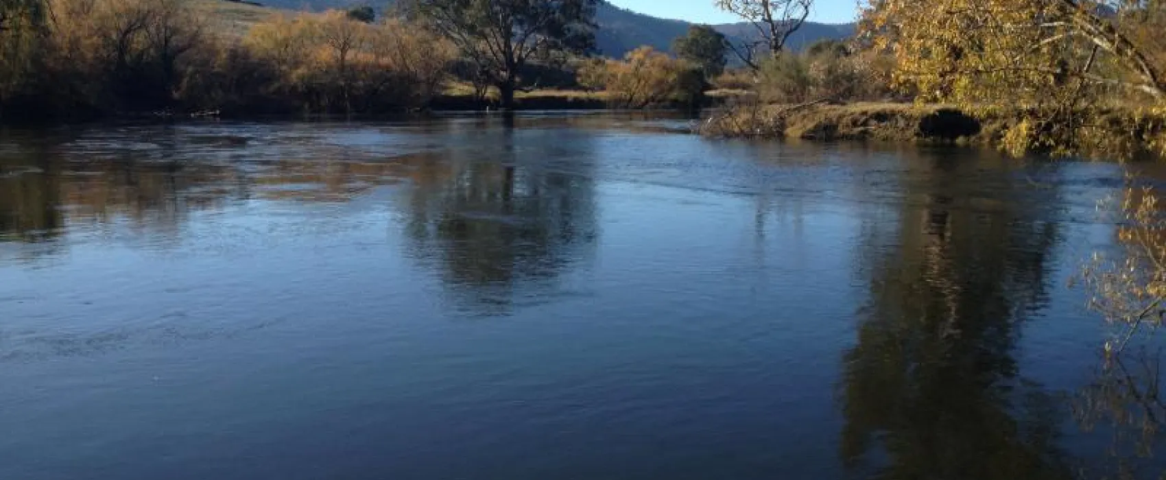 Clarkes Reserve Campground