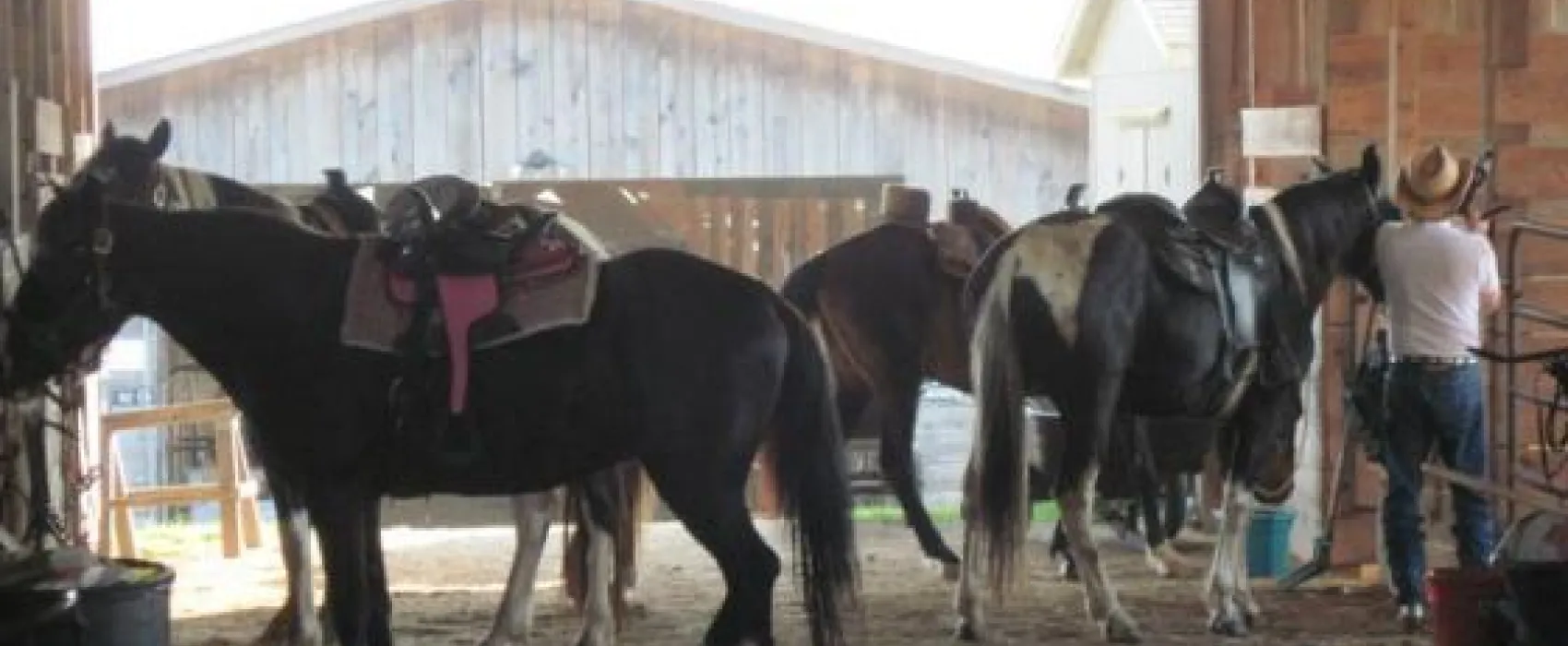 True West Campground, Stables and Mercantile, LLC