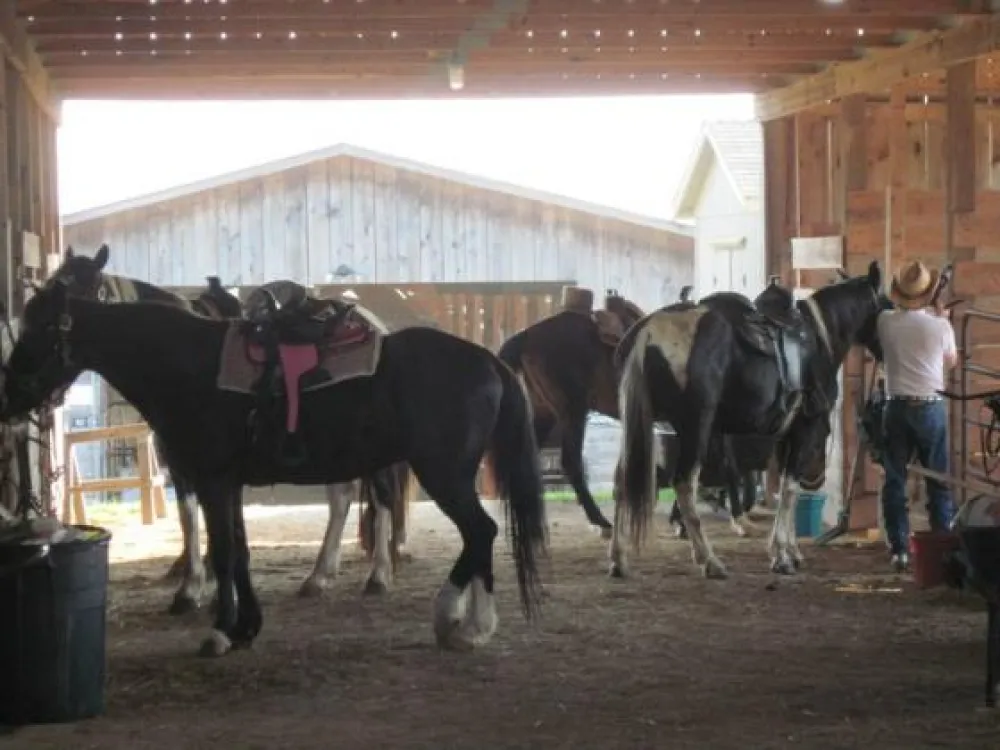 True West Campground, Stables and Mercantile, LLC