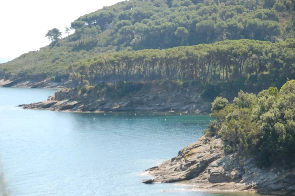 Agricampeggio Bioelba