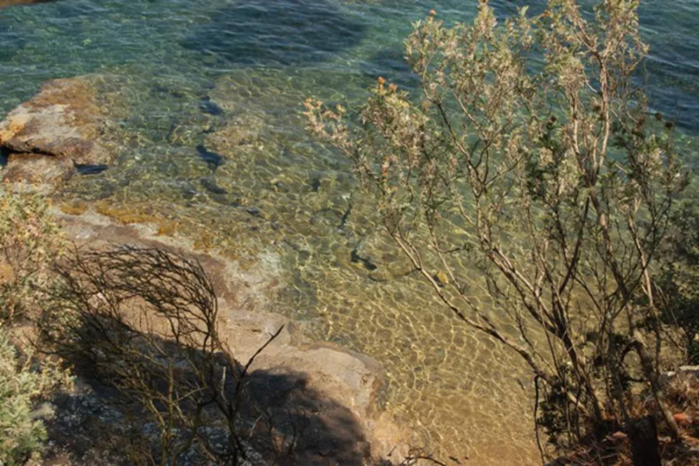 Agricampeggio Bioelba