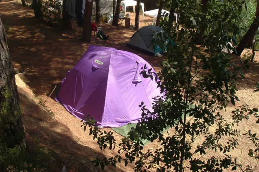 Agricampeggio Bioelba