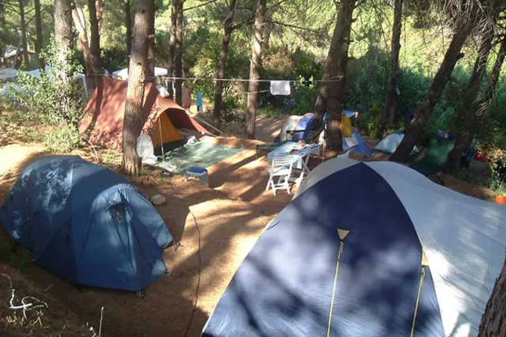 Agricampeggio Bioelba