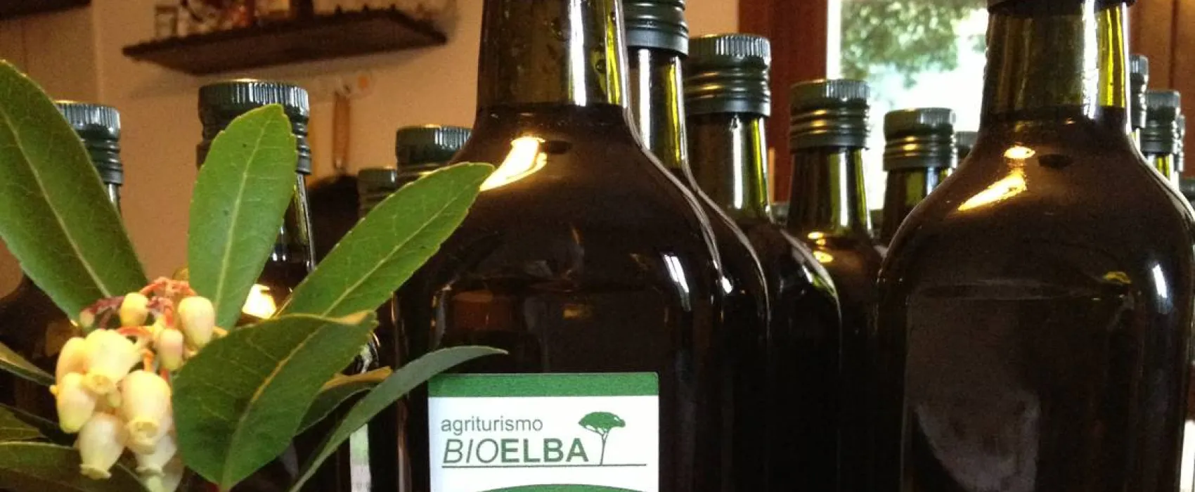 Agricampeggio Bioelba