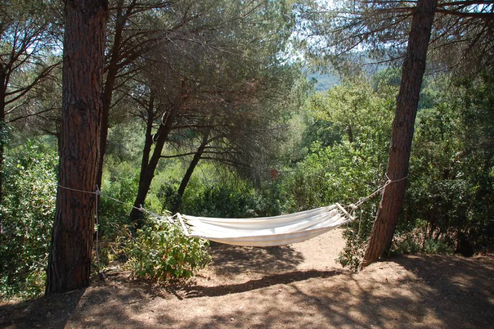 Agricampeggio Bioelba