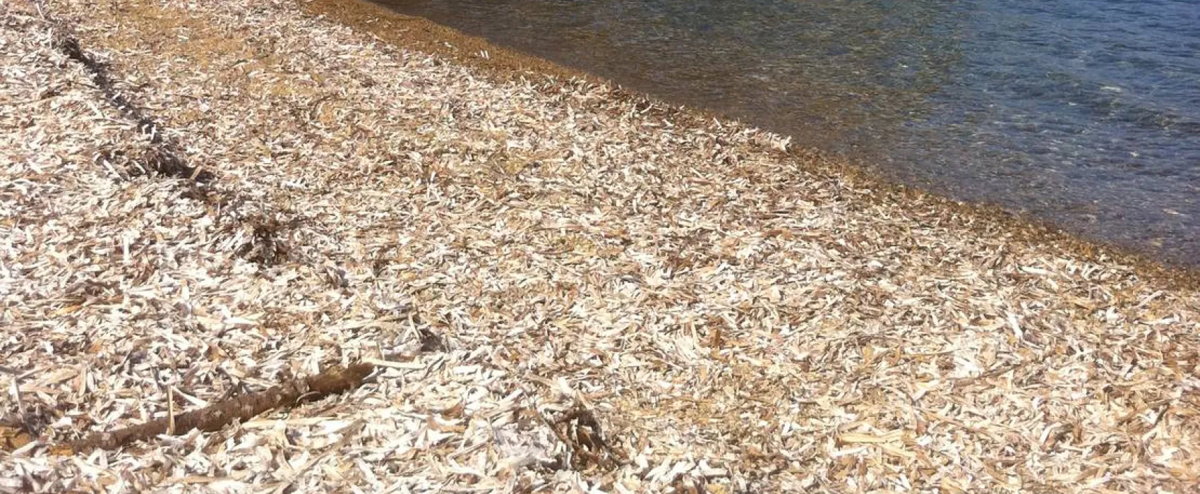 Agricampeggio Bioelba