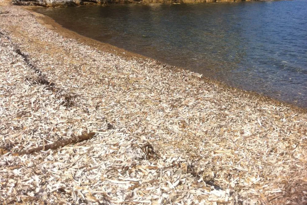 Agricampeggio Bioelba