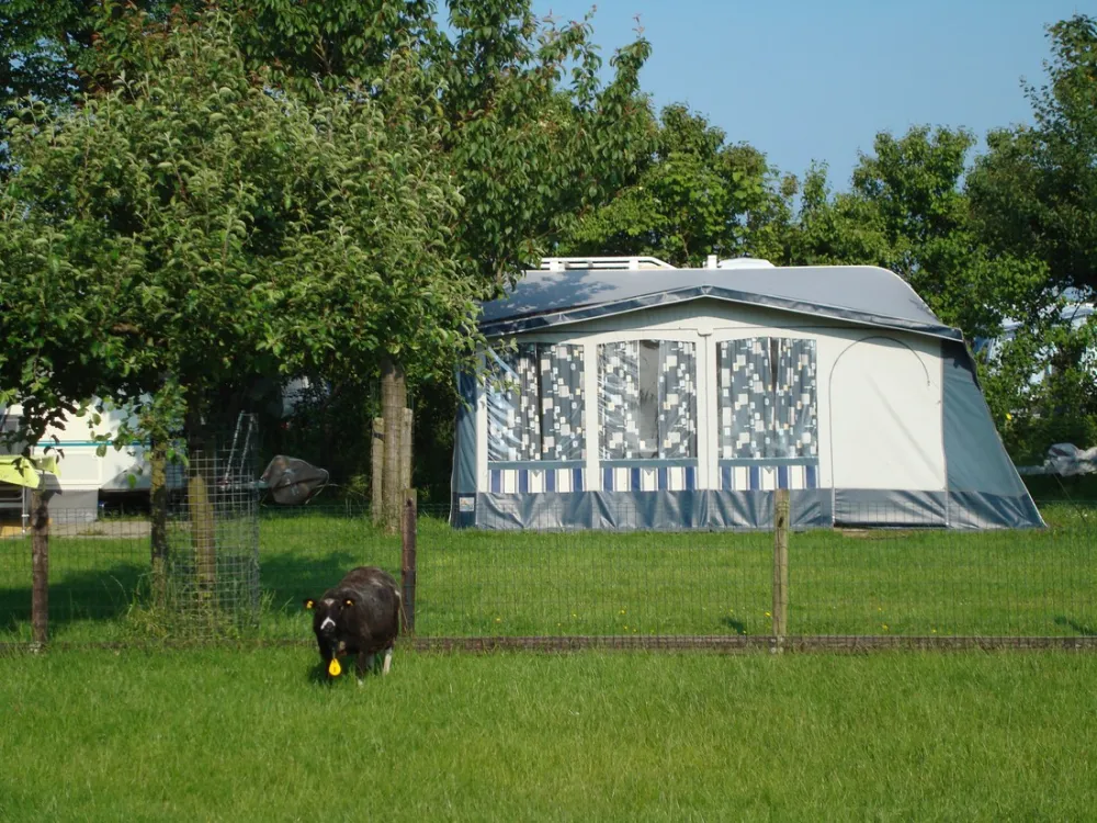 Minicamping De Tien Morgen