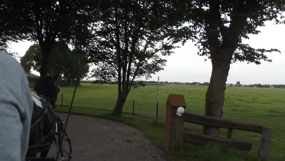 Minicamping De Tien Morgen