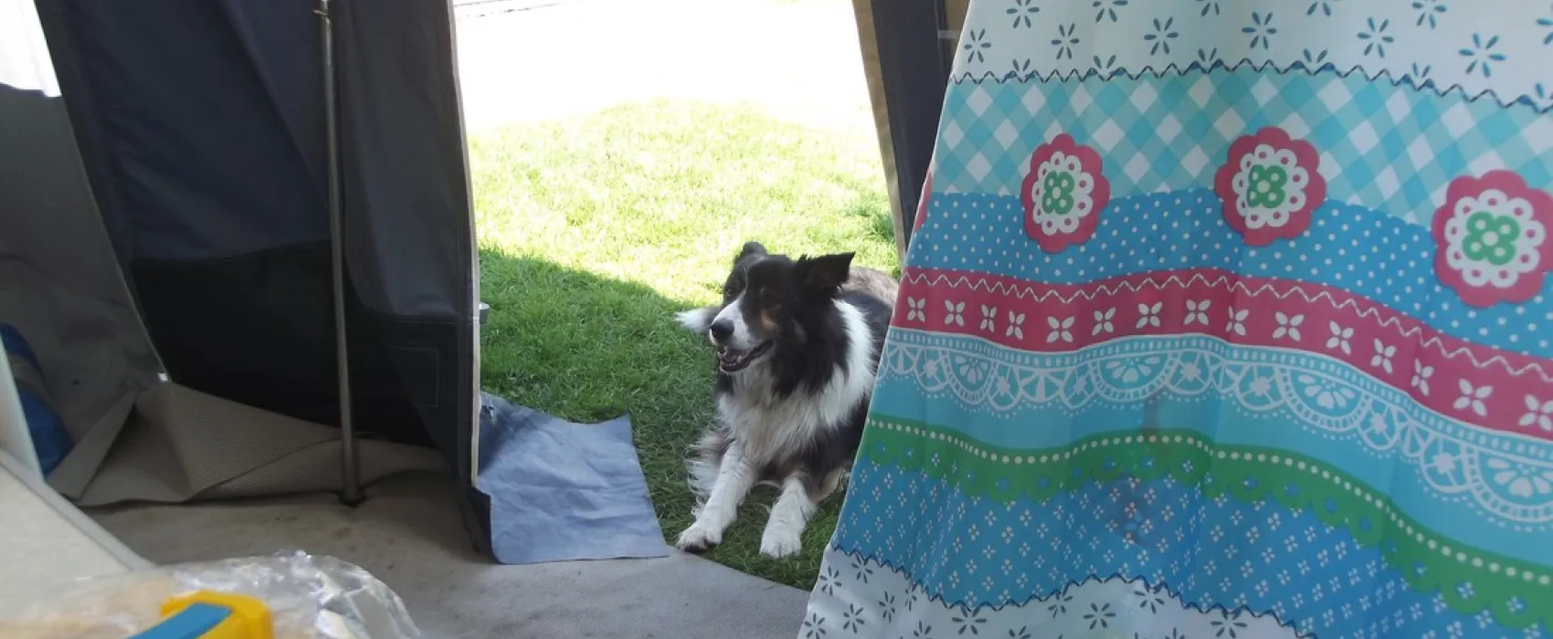 Minicamping De Tien Morgen