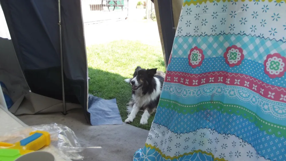 Minicamping De Tien Morgen