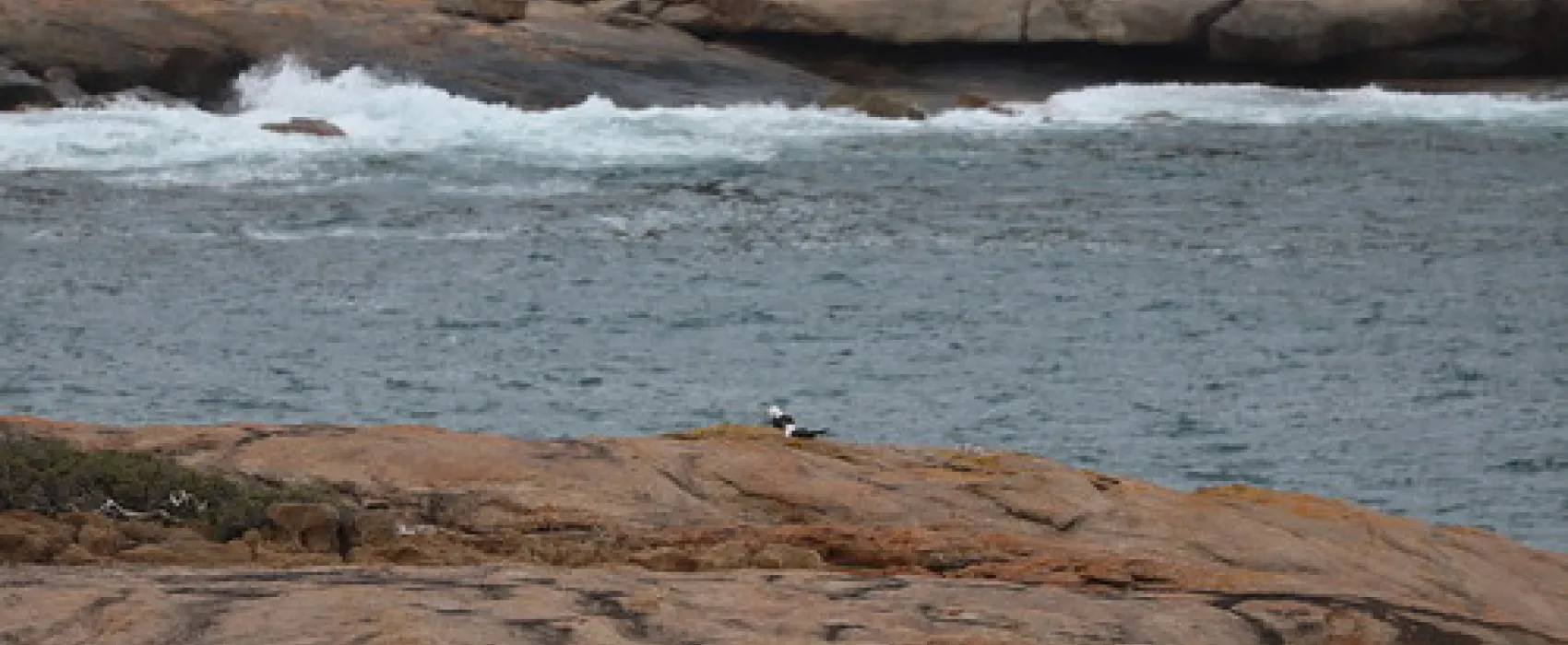 Lucky Bay Campground