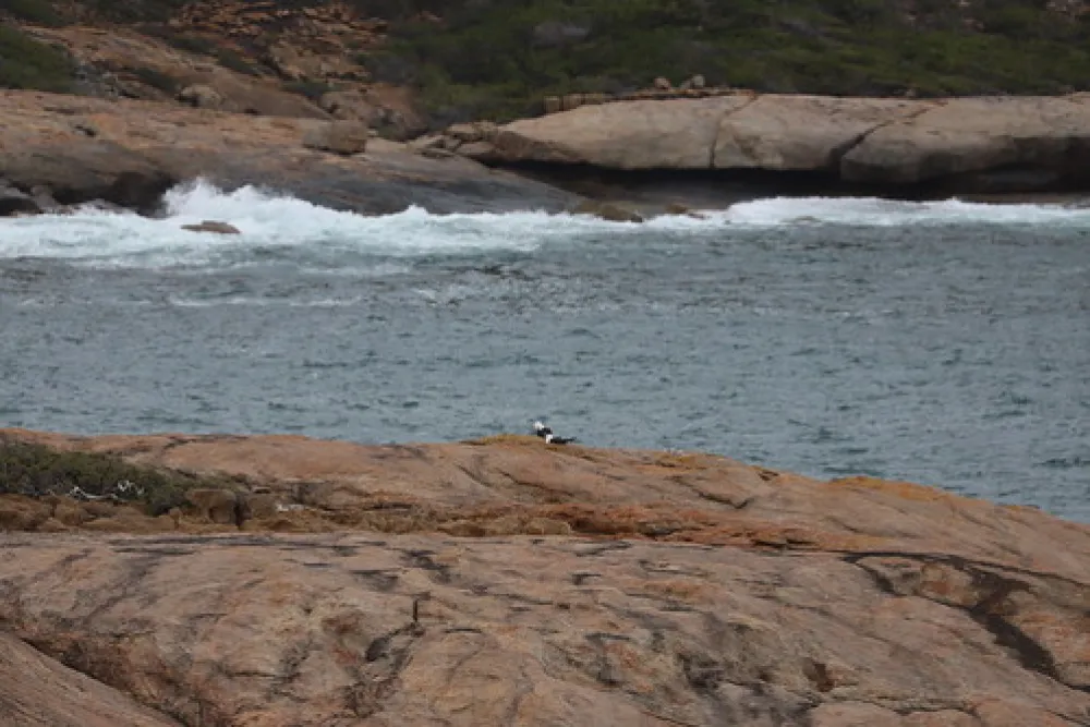 Lucky Bay Campground