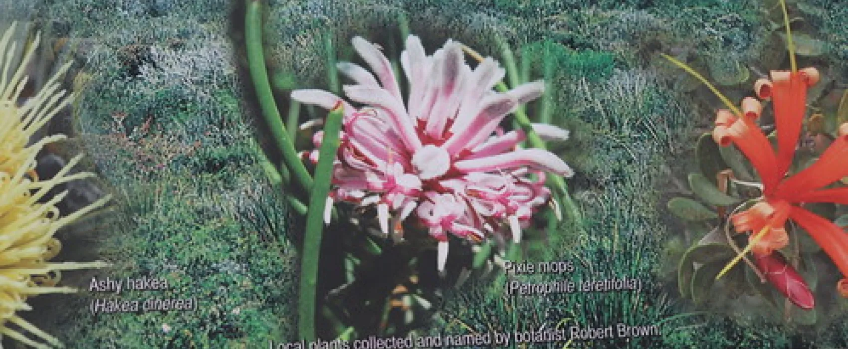 Lucky Bay Campground