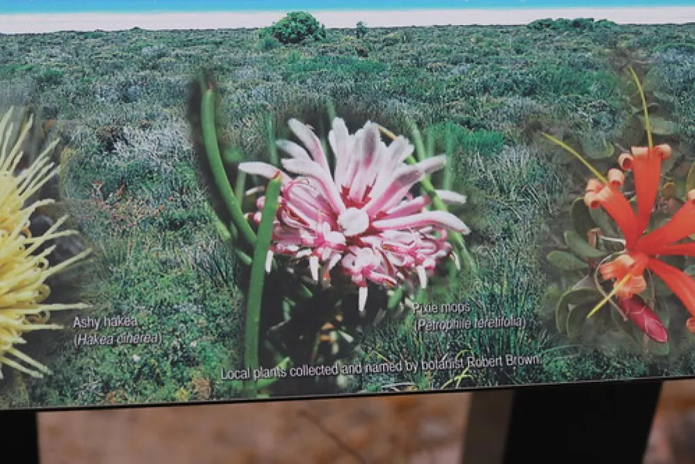 Lucky Bay Campground