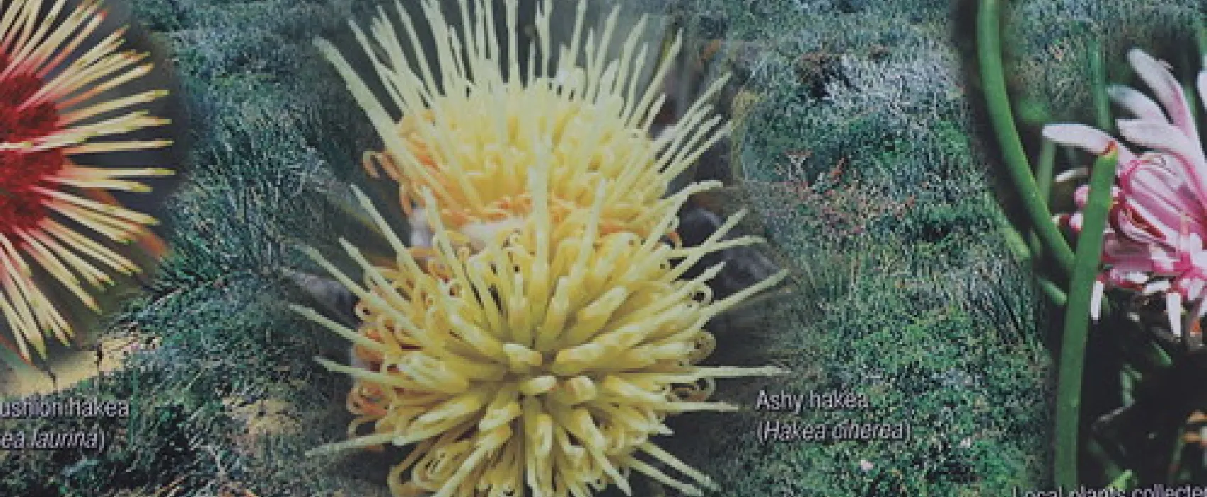 Lucky Bay Campground