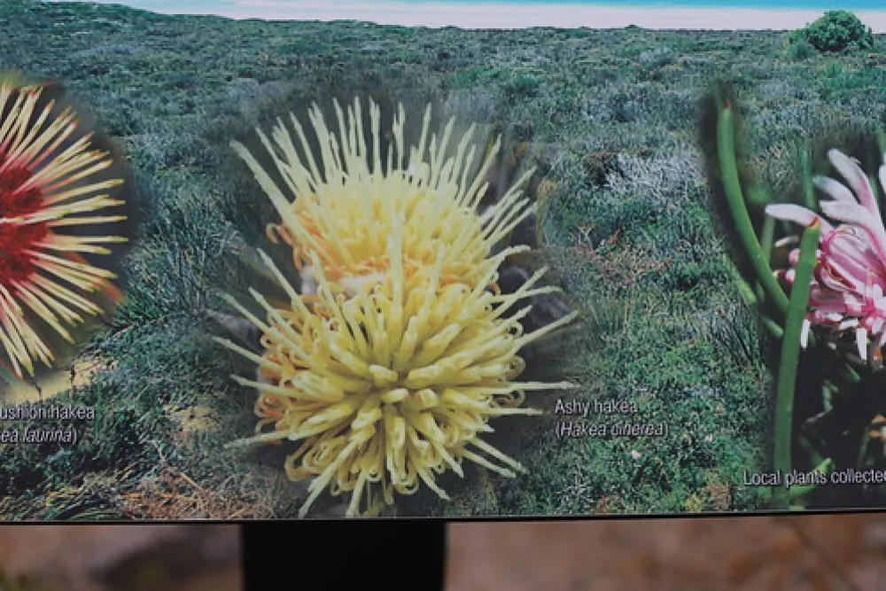 Lucky Bay Campground