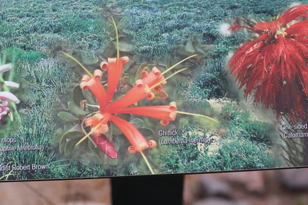 Lucky Bay Campground