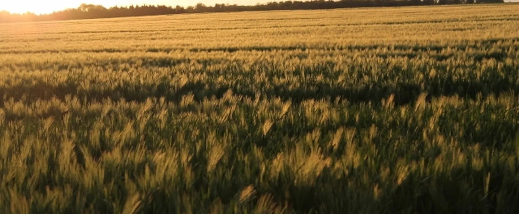 Erholungspark Nord-Elm