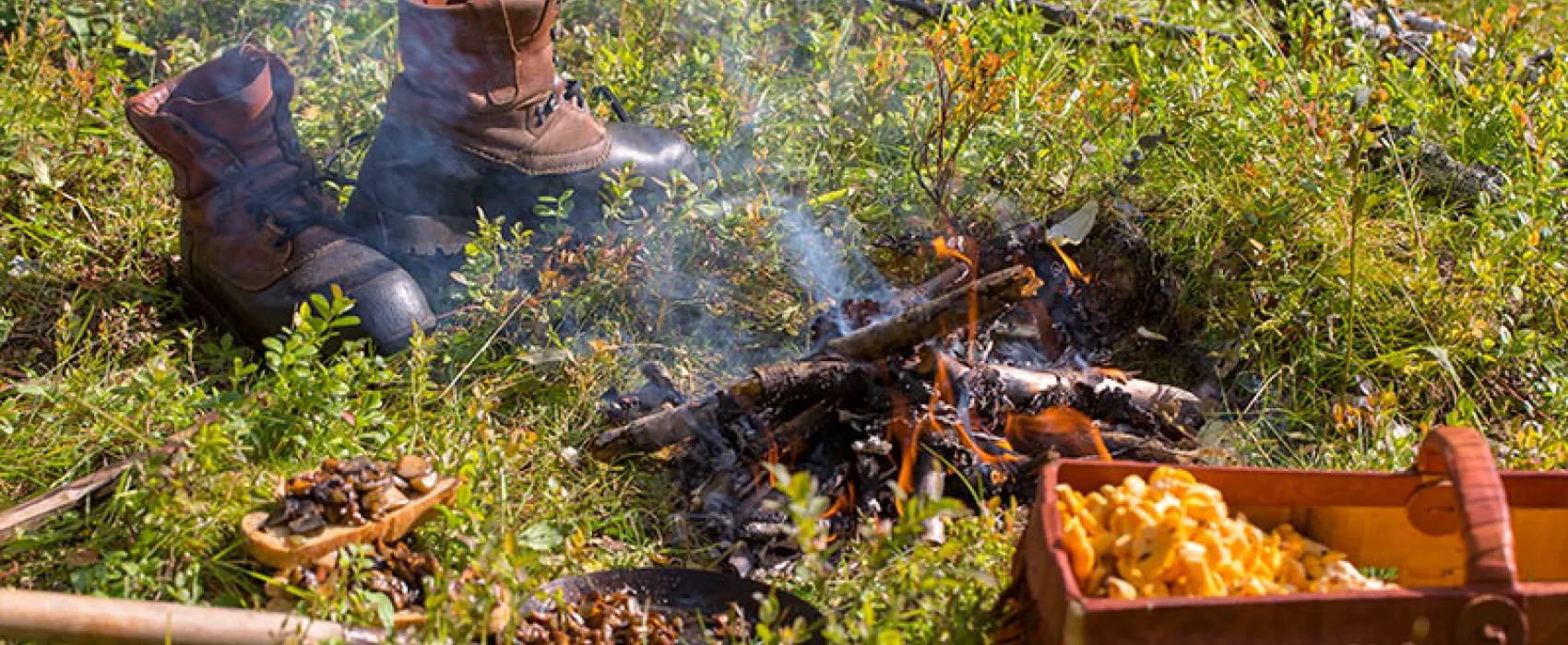 69 grader nord camping