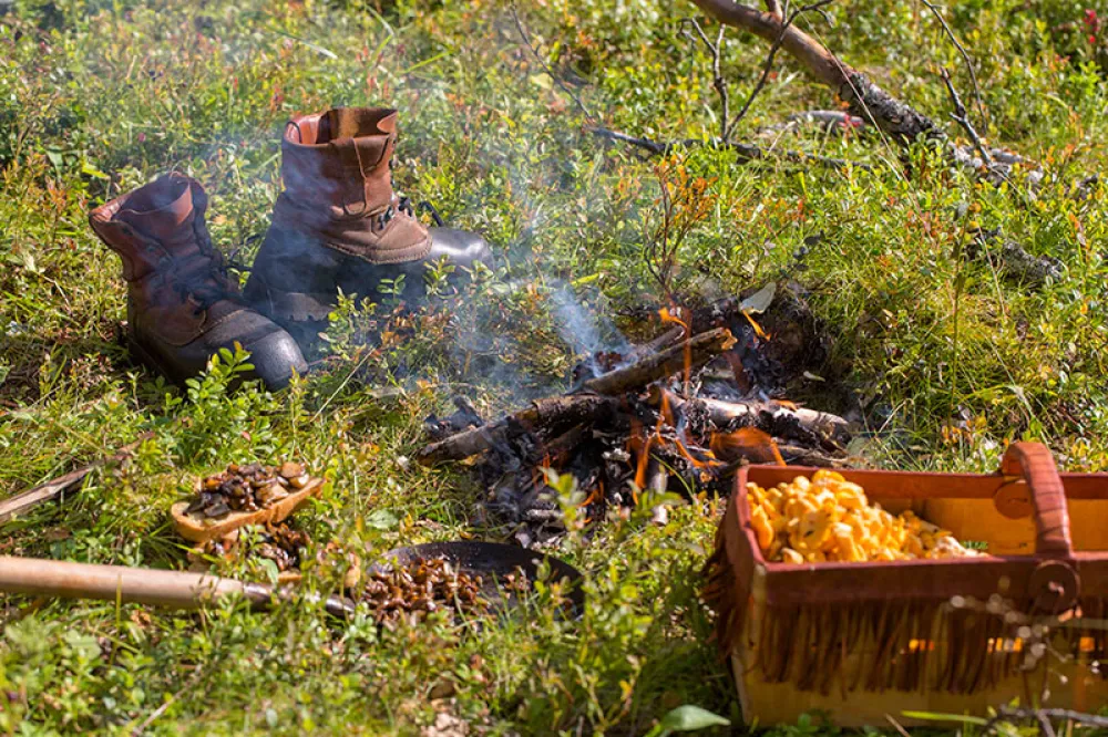69 grader nord camping