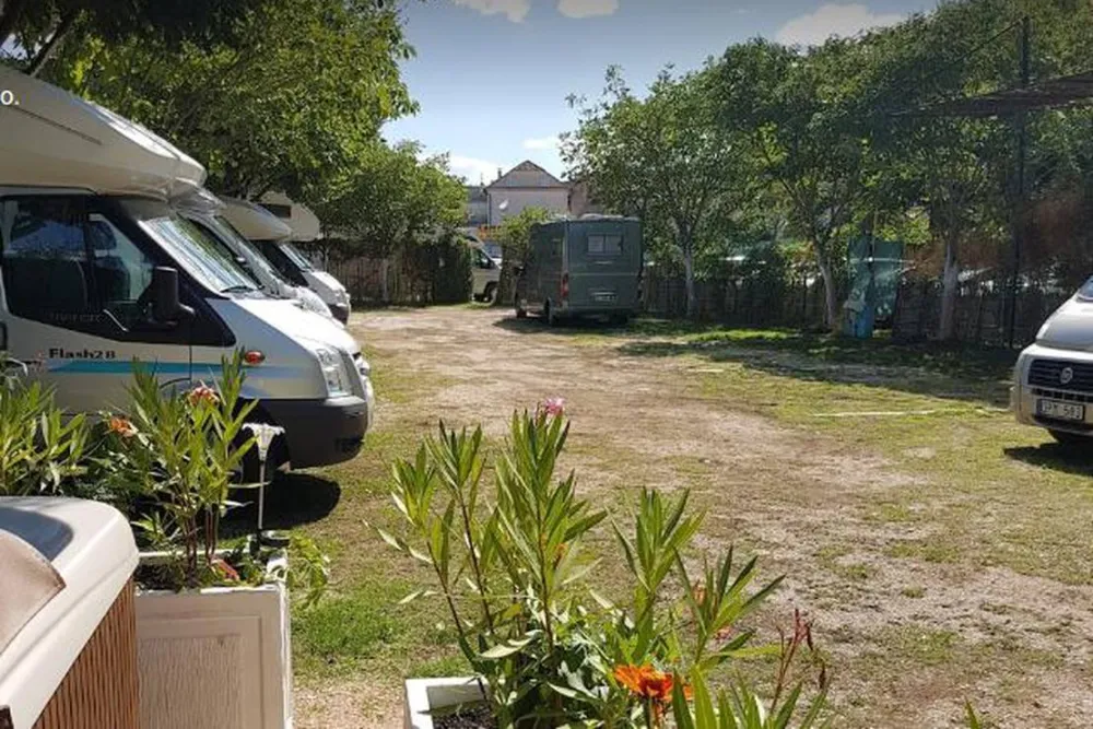 Skradinske Delicije(National Park KRKA )