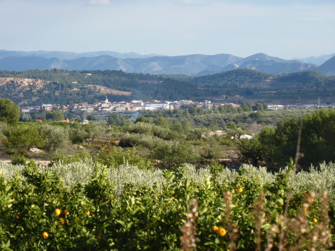 Chellanatura photo 3