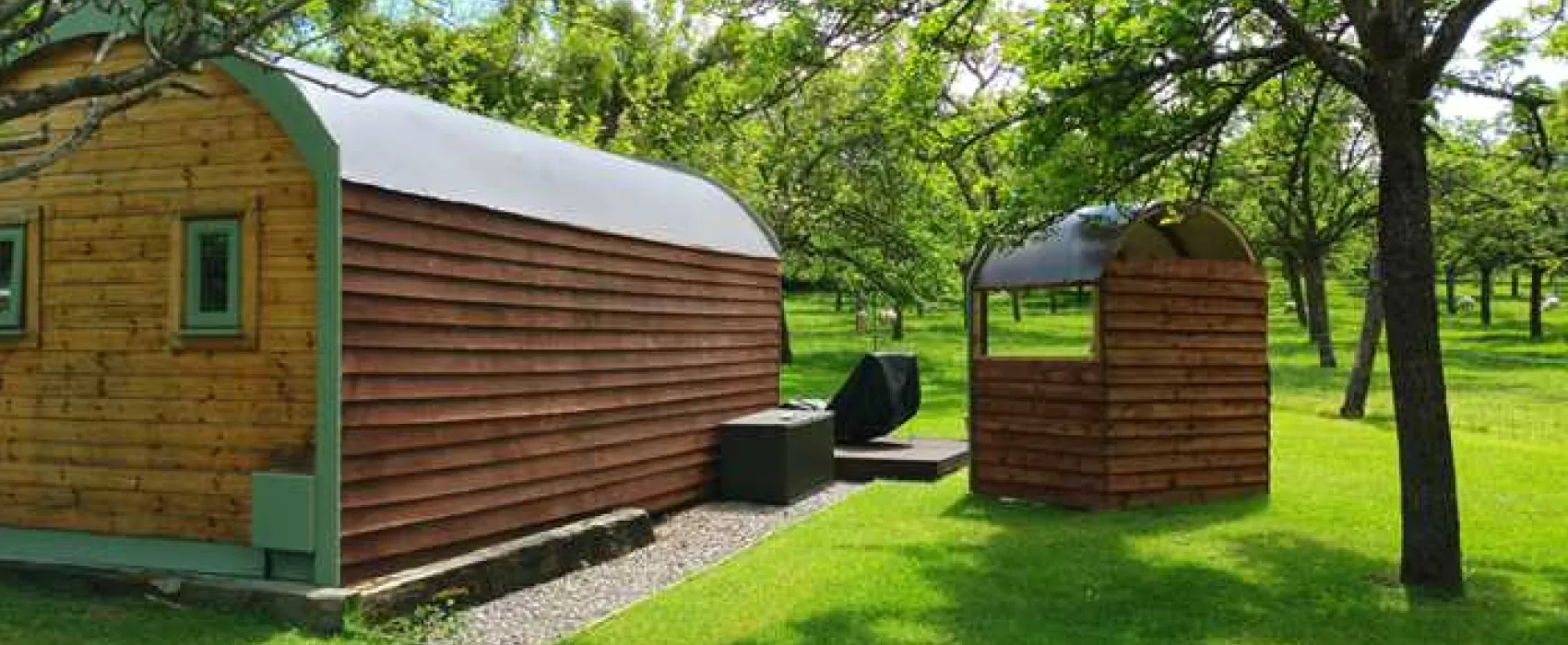 Orchard Farm Luxury Glamping and Campsite