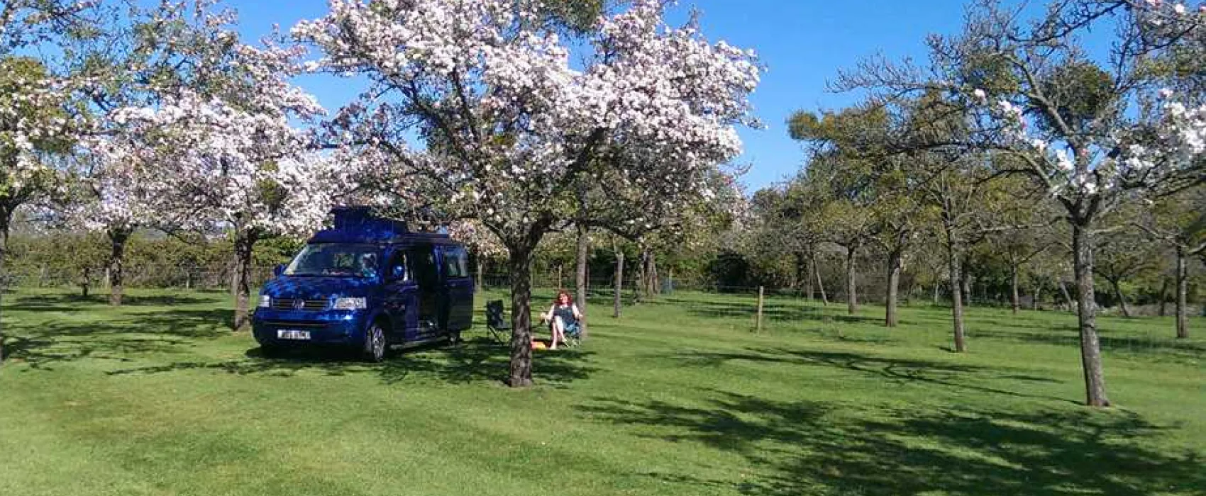Orchard Farm Luxury Glamping and Campsite