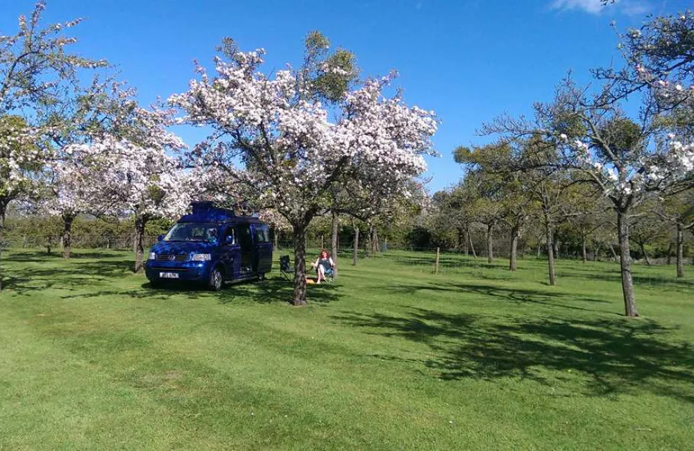 Orchard Farm Luxury Glamping and Campsite