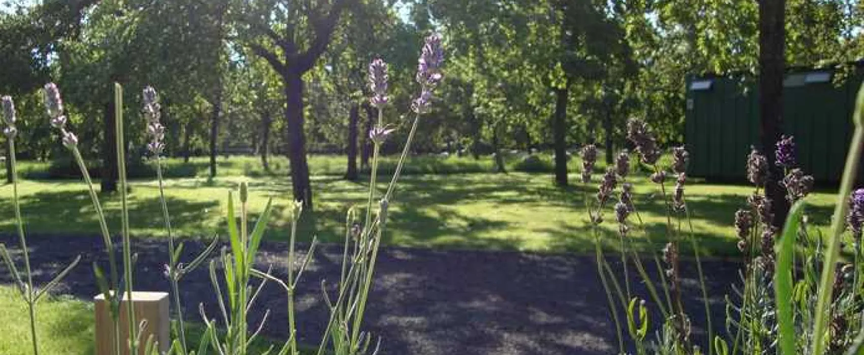 Orchard Farm Luxury Glamping and Campsite