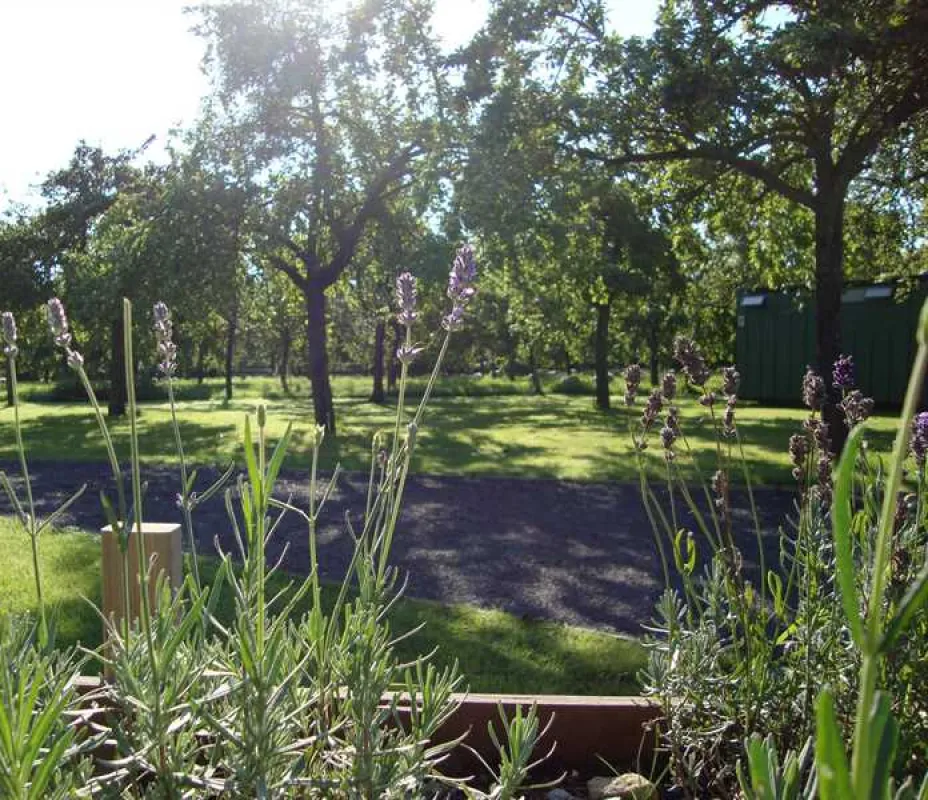 Orchard Farm Luxury Glamping and Campsite