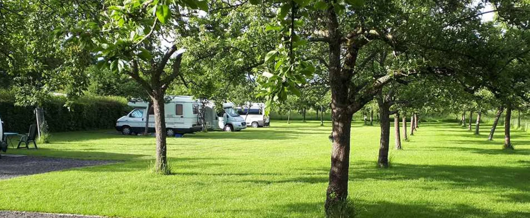 Orchard Farm Luxury Glamping and Campsite