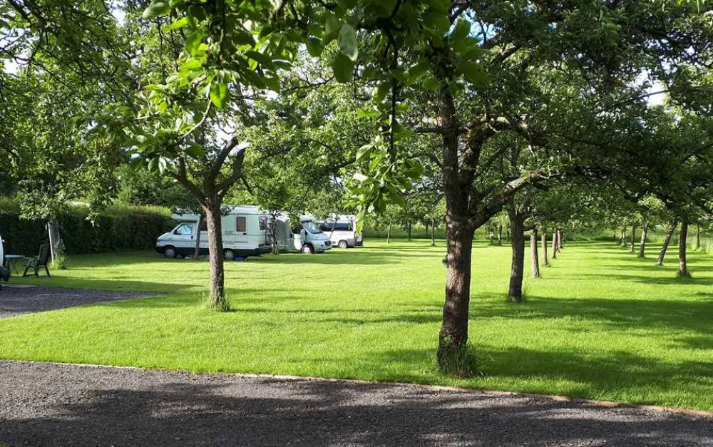 Orchard Farm Luxury Glamping and Campsite