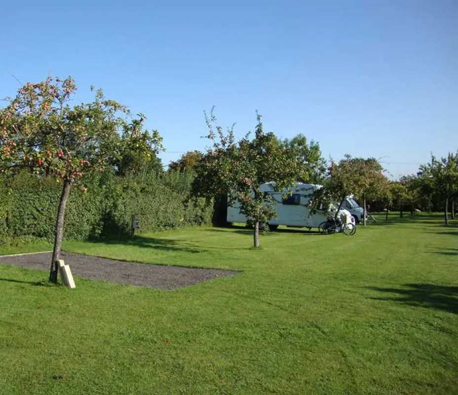 Orchard Farm Luxury Glamping and Campsite