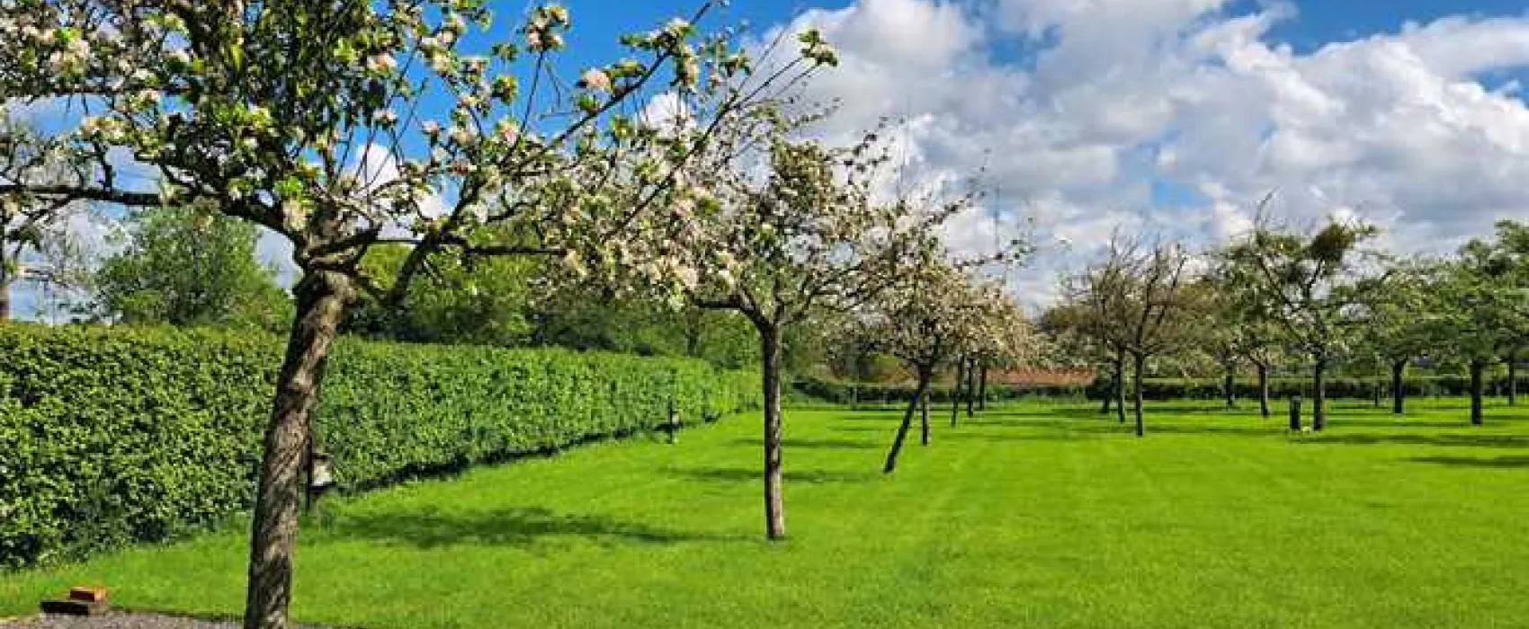 Orchard Farm Luxury Glamping and Campsite